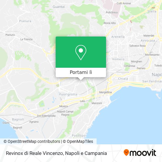 Mappa Revinox di Reale Vincenzo