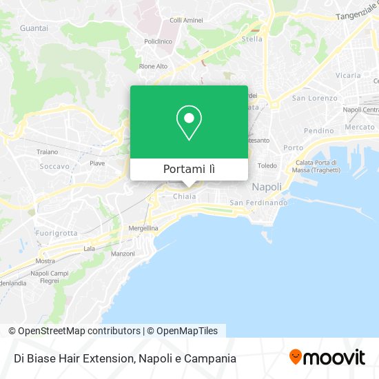 Mappa Di Biase Hair Extension