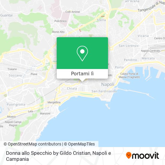 Mappa Donna allo Specchio by Gildo Cristian