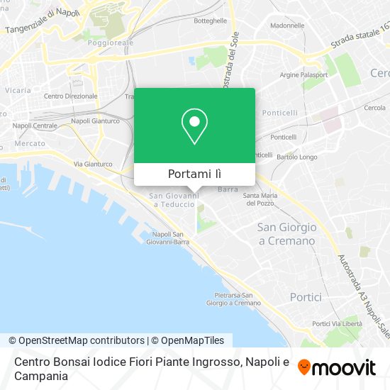 Mappa Centro Bonsai Iodice Fiori Piante Ingrosso