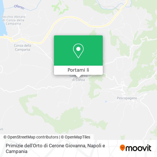 Mappa Primizie dell'Orto di Cerone Giovanna