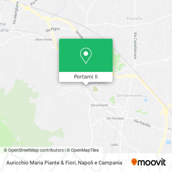 Mappa Auricchio Maria Piante & Fiori