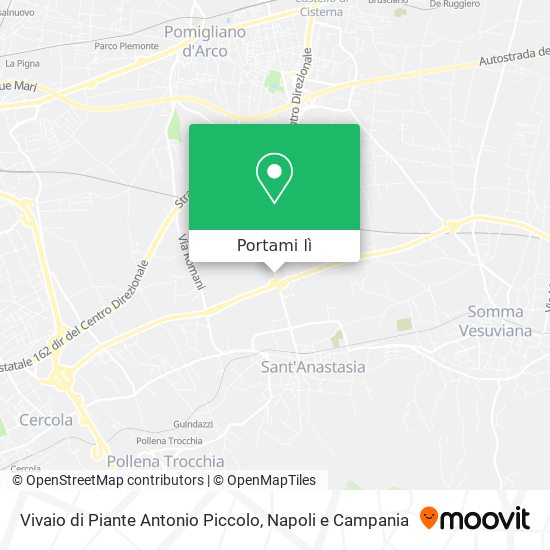 Mappa Vivaio di Piante Antonio Piccolo