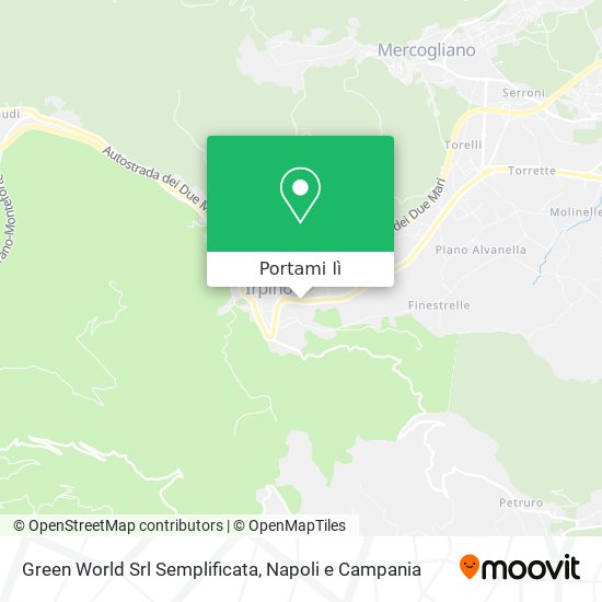 Mappa Green World Srl Semplificata