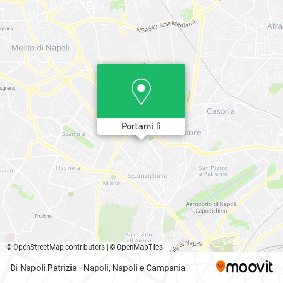 Mappa Di Napoli Patrizia - Napoli