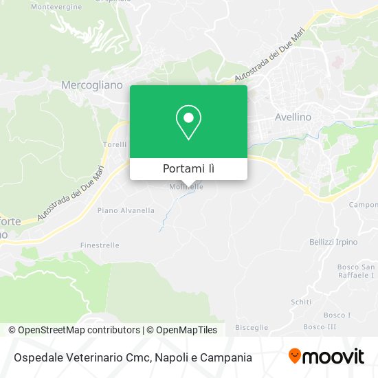 Mappa Ospedale Veterinario Cmc