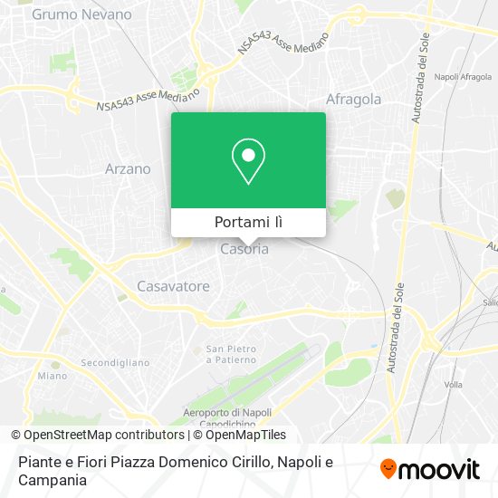 Mappa Piante e Fiori Piazza Domenico Cirillo