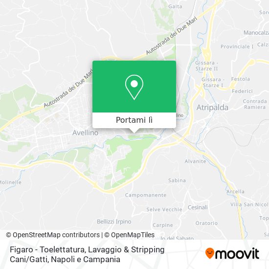 Mappa Figaro - Toelettatura, Lavaggio & Stripping Cani / Gatti
