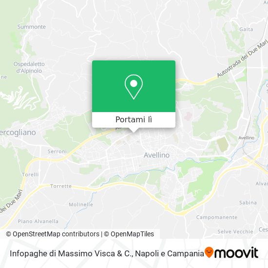 Mappa Infopaghe di Massimo Visca & C.