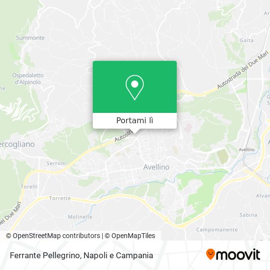 Mappa Ferrante Pellegrino