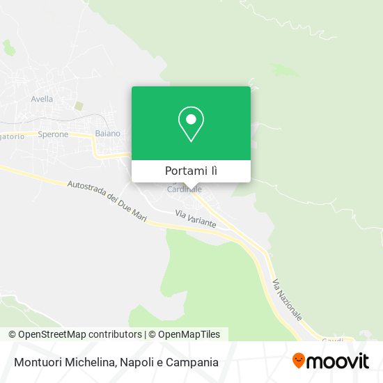 Mappa Montuori Michelina