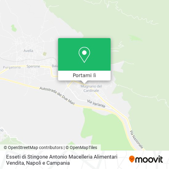 Mappa Esseti di Stingone Antonio Macelleria Alimentari Vendita