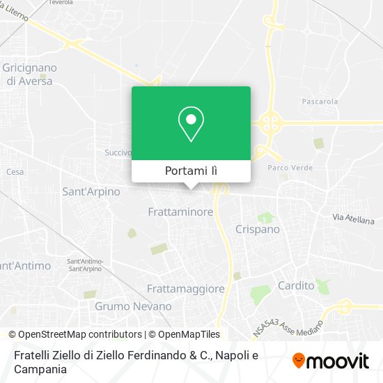 Mappa Fratelli Ziello di Ziello Ferdinando & C.