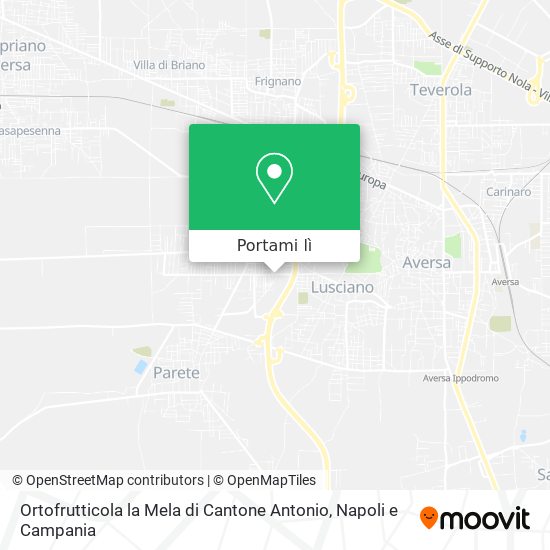 Mappa Ortofrutticola la Mela di Cantone Antonio