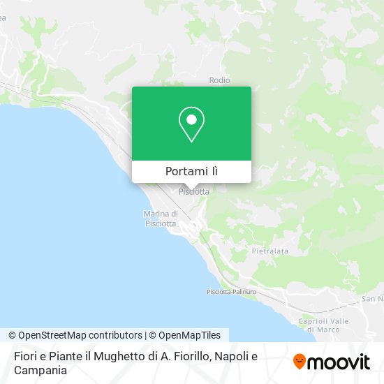 Mappa Fiori e Piante il Mughetto di A. Fiorillo