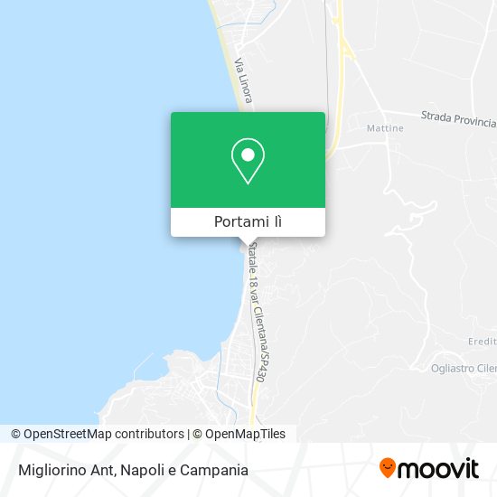 Mappa Migliorino Ant