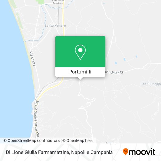 Mappa Di Lione Giulia Farmamattine