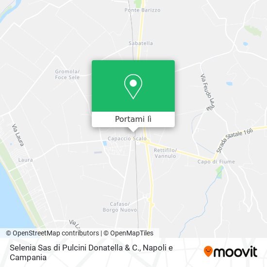 Mappa Selenia Sas di Pulcini Donatella & C.