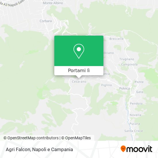 Mappa Agri Falcon