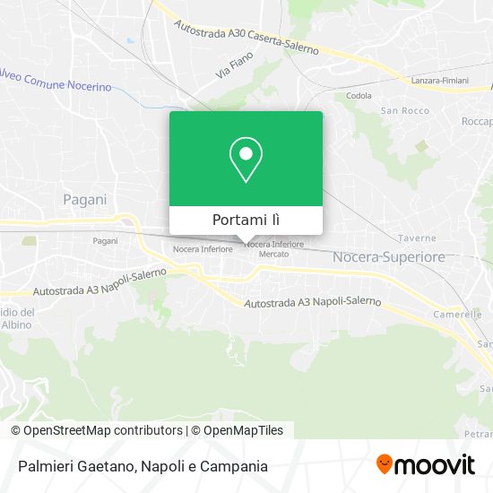 Mappa Palmieri Gaetano