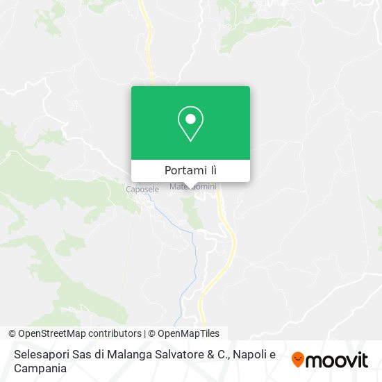 Mappa Selesapori Sas di Malanga Salvatore & C.