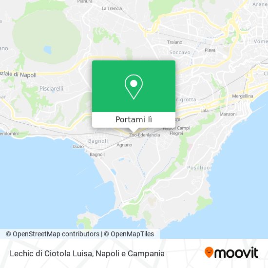 Mappa Lechic di Ciotola Luisa