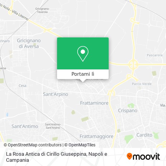Mappa La Rosa Antica di Cirillo Giuseppina