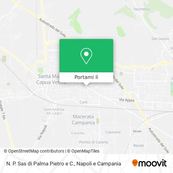 Mappa N. P. Sas di Palma Pietro e C.