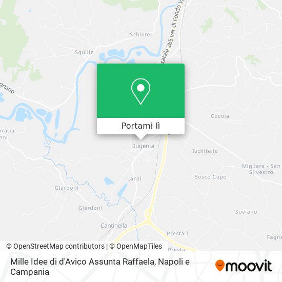 Mappa Mille Idee di d'Avico Assunta Raffaela