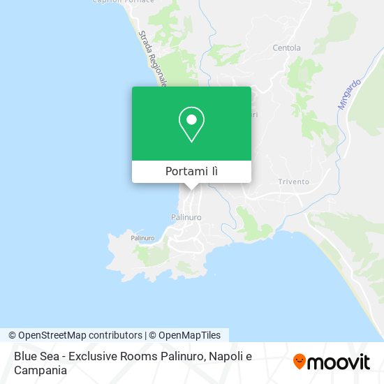Mappa Blue Sea - Exclusive Rooms Palinuro