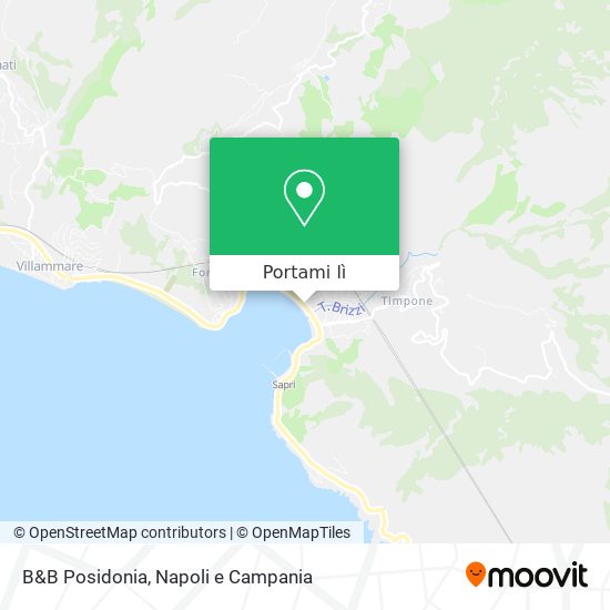 Mappa B&B Posidonia