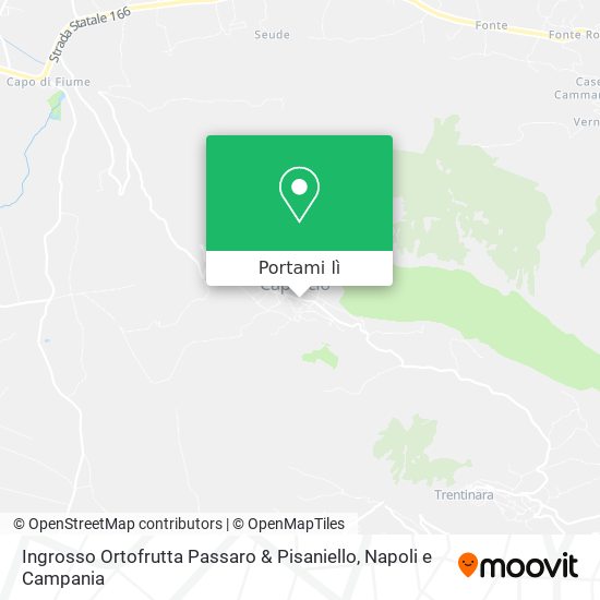 Mappa Ingrosso Ortofrutta Passaro & Pisaniello