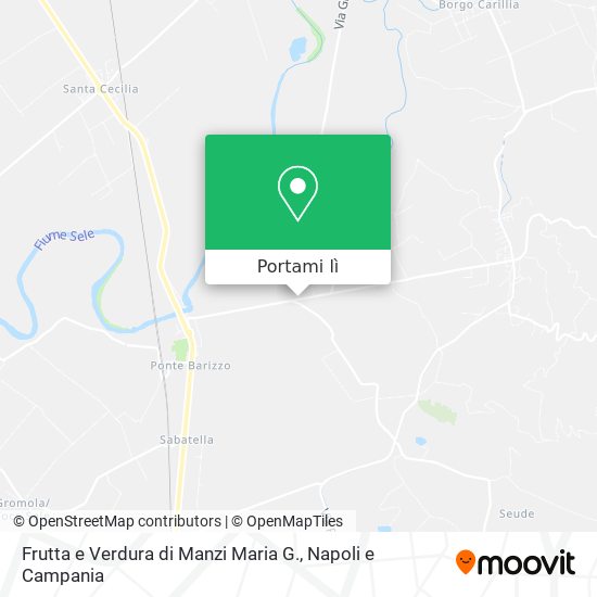 Mappa Frutta e Verdura di Manzi Maria G.