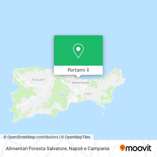 Mappa Alimentari Foresta Salvatore