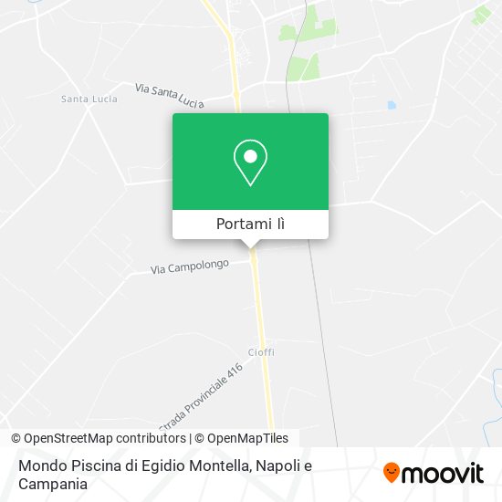 Mappa Mondo Piscina di Egidio Montella