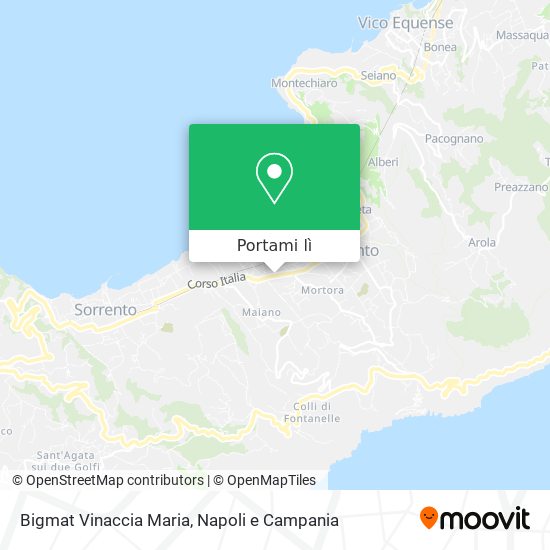 Mappa Bigmat Vinaccia Maria