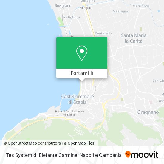 Mappa Tes System di Elefante Carmine