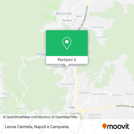 Mappa Leone Carmela