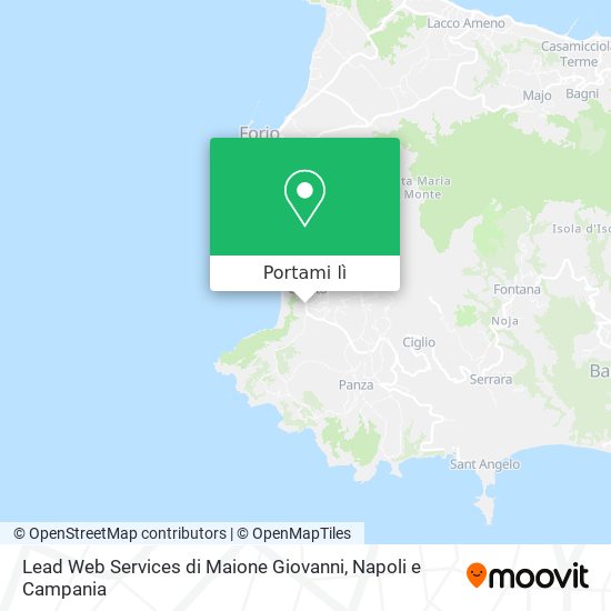 Mappa Lead Web Services di Maione Giovanni
