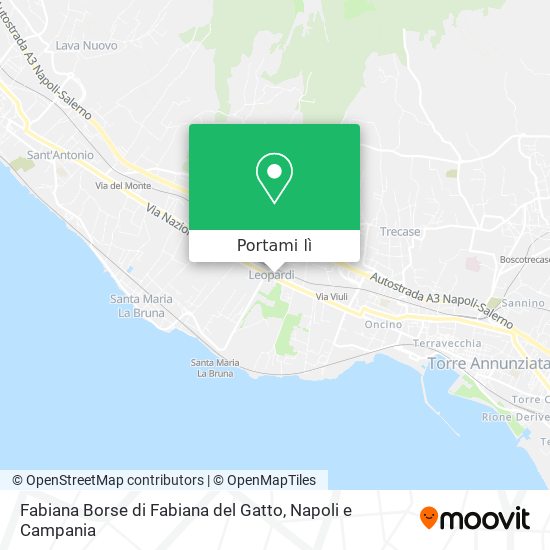 Mappa Fabiana Borse di Fabiana del Gatto
