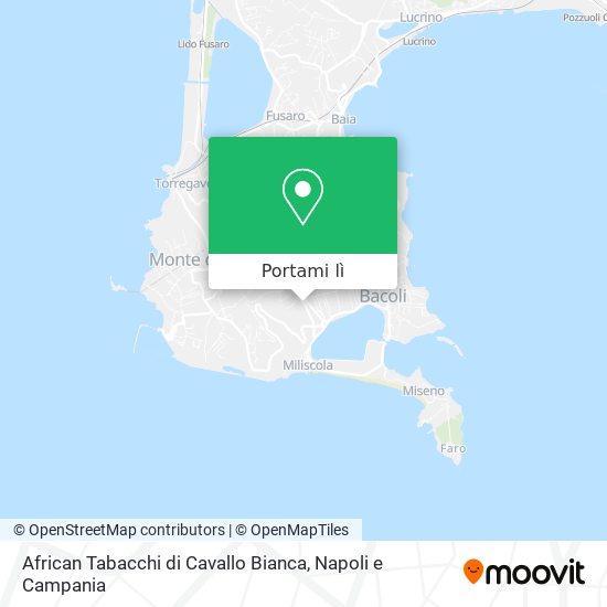 Mappa African Tabacchi di Cavallo Bianca