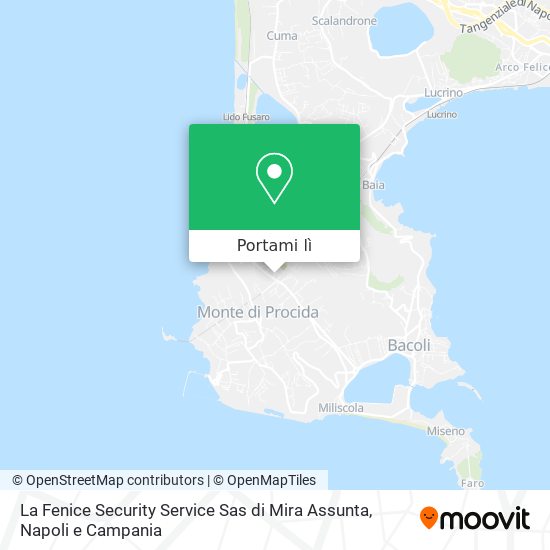 Mappa La Fenice Security Service Sas di Mira Assunta
