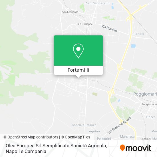 Mappa Olea Europea Srl Semplificata Società Agricola