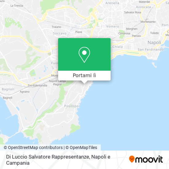 Mappa Di Luccio Salvatore Rappresentanze