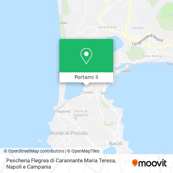 Mappa Pescheria Flegrea di Carannante Maria Teresa