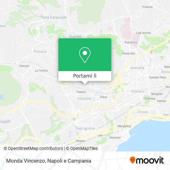 Mappa Monda Vincenzo
