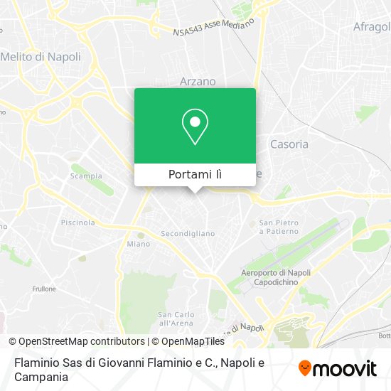 Mappa Flaminio Sas di Giovanni Flaminio e C.