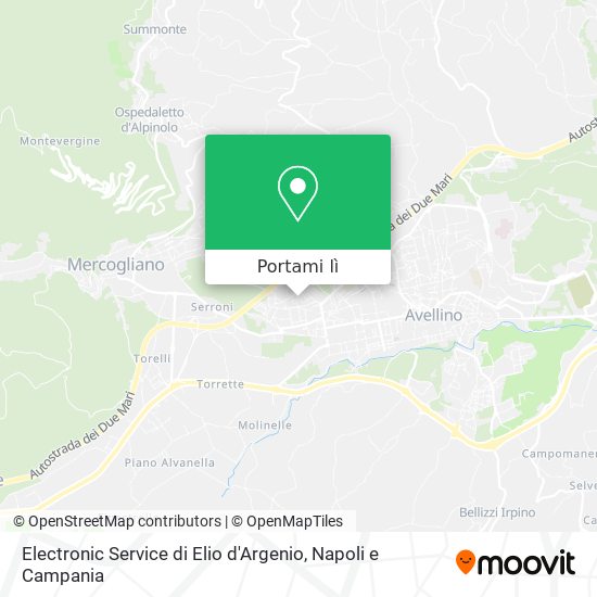 Mappa Electronic Service di Elio d'Argenio