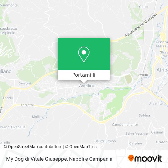 Mappa My Dog di Vitale Giuseppe