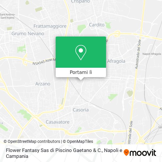 Mappa Flower Fantasy Sas di Piscino Gaetano & C.